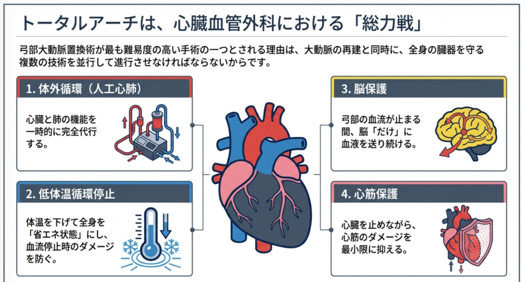 弓部大動脈置換術(トータルアーチ)とは?基礎知識の解説画像