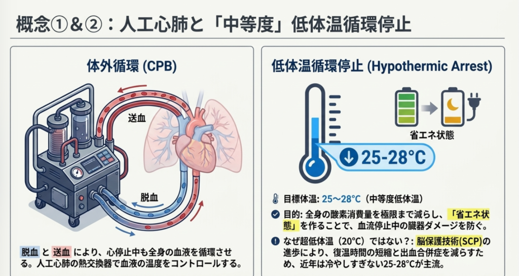 ① 体外循環(人工心肺)の解説画像