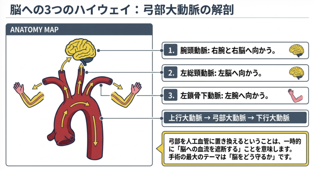 手術中のモニタリング|脳を守るための監視の解説画像