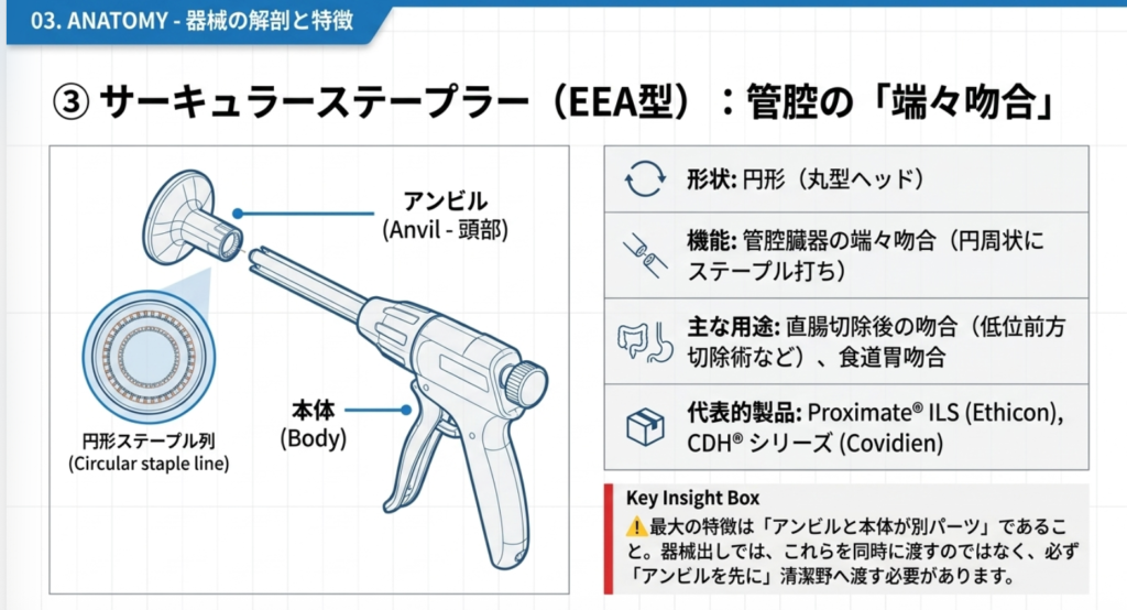 ③ サーキュラーステープラー（EEA型）の解説画像
