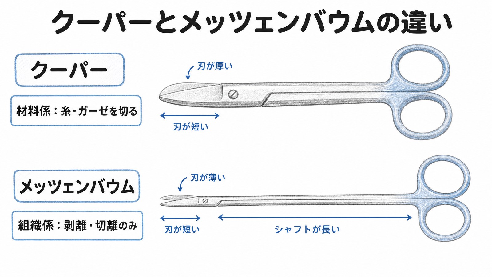 クーパー剪刀とメッツェンバウム剪刀の形状比較。クーパーは刃が厚く短い材料係、メッツェンバウムは細身でシャフトが長い組織係