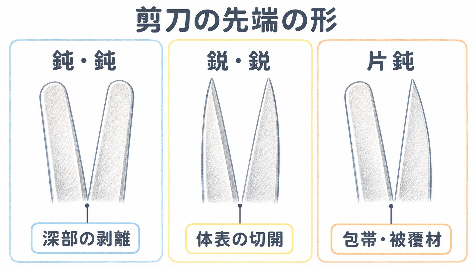 剪刀の先端の形。鈍鈍は深部の剥離、鋭鋭は体表の切開、片鈍は包帯や被覆材に使い分ける図