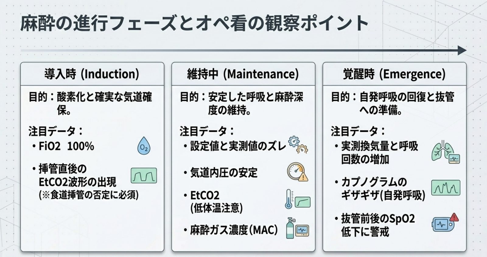 麻酔導入・維持・覚醒で変わる観察ポイントの図