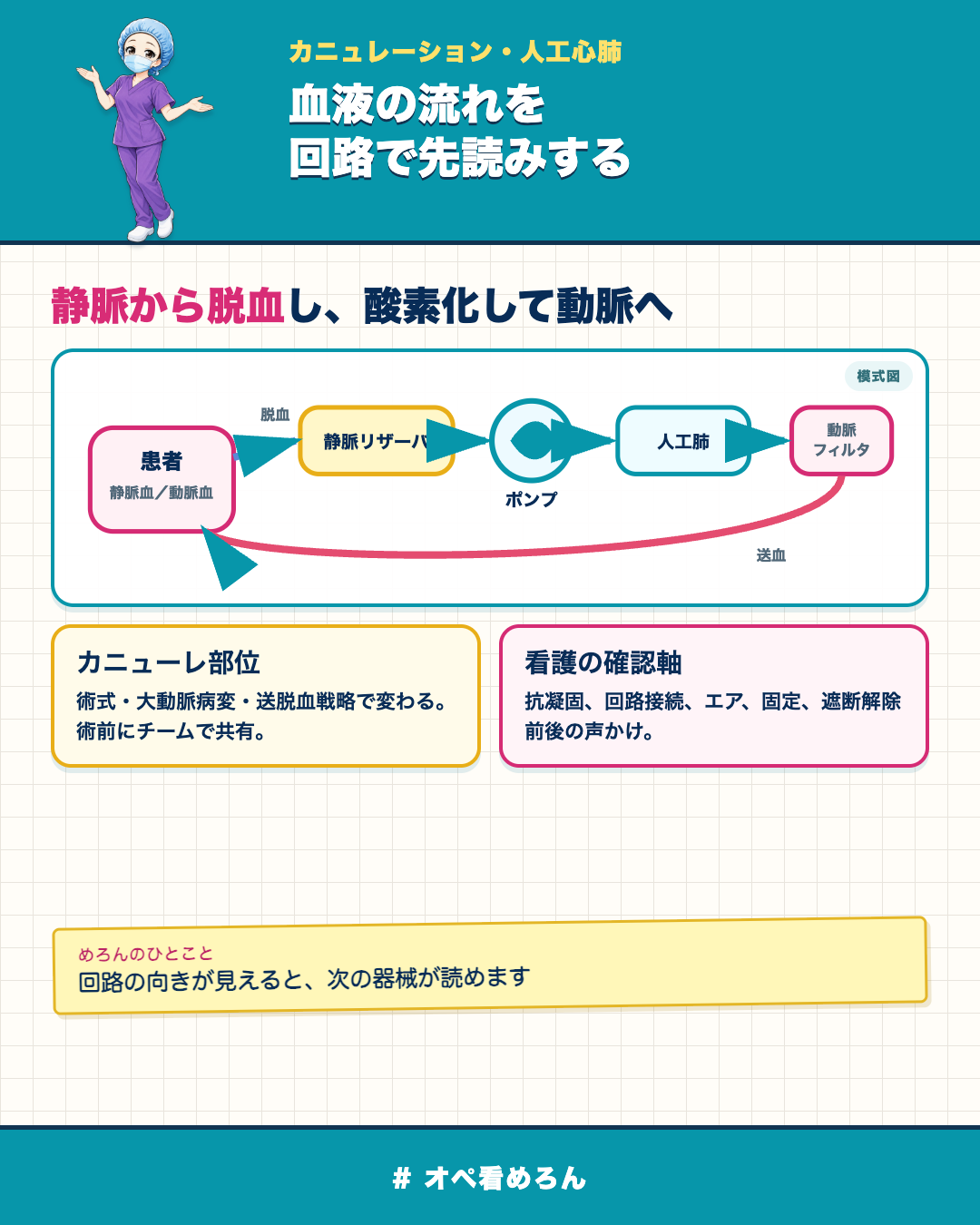 人工心肺で静脈脱血からポンプ・人工肺を通り動脈送血へ至る代表的な回路模式図