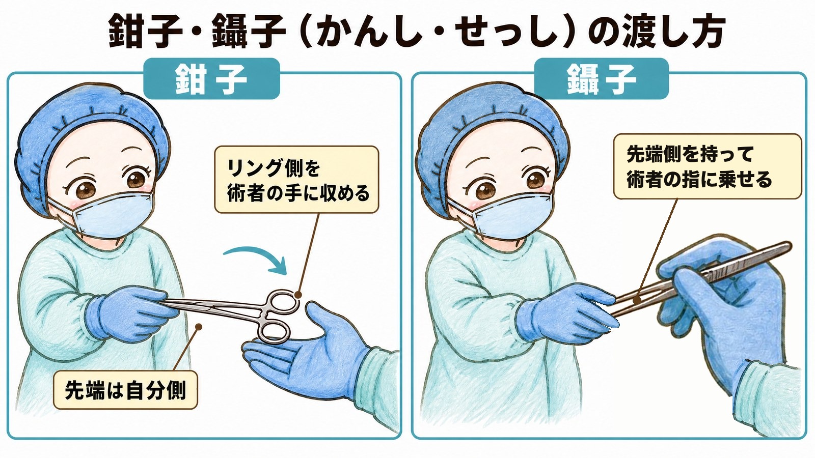 鉗子と鑷子の渡し方の図。鉗子はリング側が術者の手に収まる向きで先端を自分側に向けて渡し、鑷子は器械出し看護師が先端側を持ち、術者の親指と人差し指に持ち手を乗せるように渡す